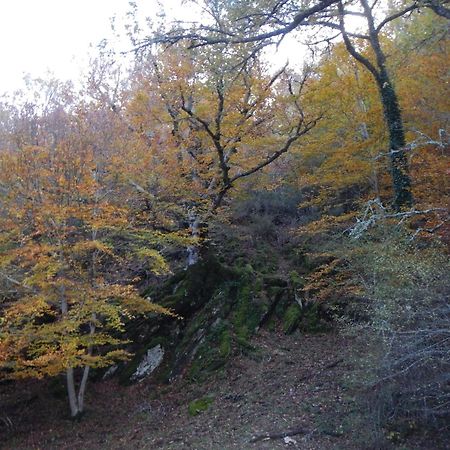 Alojamiento Rural Fuente Del Arca Pradena del Rincon Exteriör bild