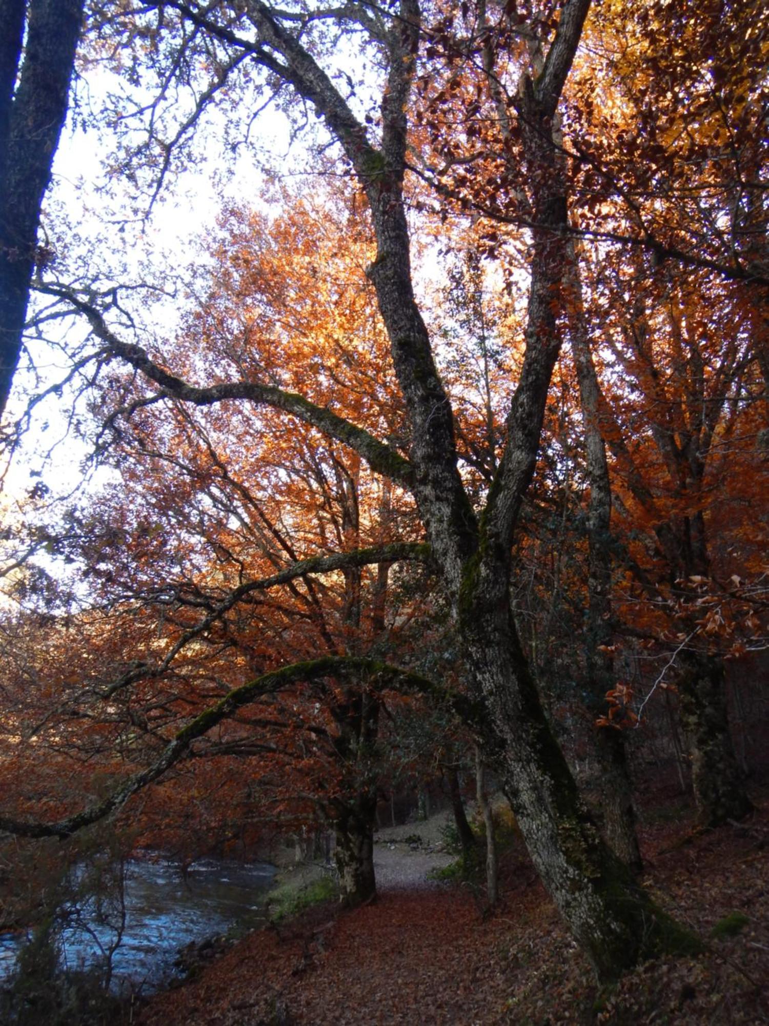 Alojamiento Rural Fuente Del Arca Pradena del Rincon Exteriör bild
